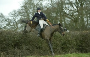 Full throttle over fly hedges. The best hunting there is?